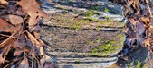 Enlarge photo 395