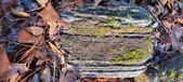 Enlarge photo 399