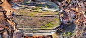 Enlarge photo 398