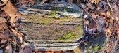 Enlarge photo 397