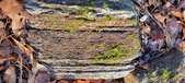 Enlarge photo 402