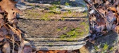 Enlarge photo 401