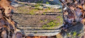 Enlarge photo 400