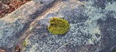 Enlarge photo 404