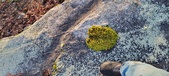 Enlarge photo 405