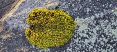 Enlarge photo 406