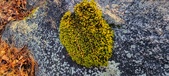 Enlarge photo 410