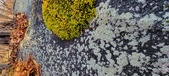 Enlarge photo 409
