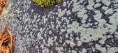 Enlarge photo 408