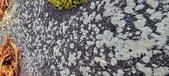 Enlarge photo 415