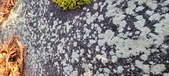 Enlarge photo 414