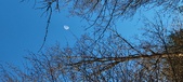 Enlarge photo 462