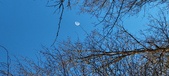 Enlarge photo 463