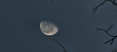 Enlarge photo 464