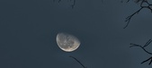 Enlarge photo 468