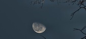 Enlarge photo 426