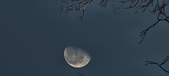 Enlarge photo 466