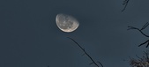 Enlarge photo 465