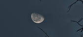 Enlarge photo 469