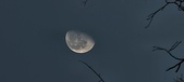 Enlarge photo 470