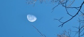 Enlarge photo 471