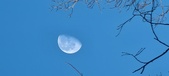 Enlarge photo 475