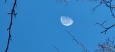 Enlarge photo 472
