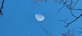 Enlarge photo 473