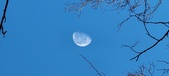 Enlarge photo 474