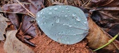 Enlarge photo 436