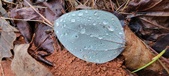 Enlarge photo 437