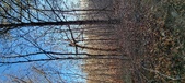 Enlarge photo 441