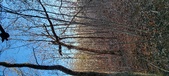 Enlarge photo 444