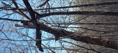 Enlarge photo 446
