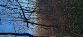 Enlarge photo 451