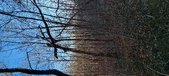 Enlarge photo 450