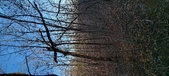 Enlarge photo 449