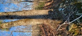 Enlarge photo 448
