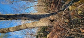 Enlarge photo 452