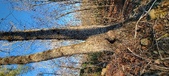 Enlarge photo 454