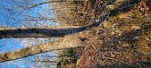 Enlarge photo 456