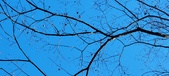 Enlarge photo 167