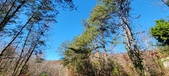 Enlarge photo 186