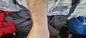 Enlarge photo 98
