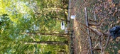 Enlarge photo 114