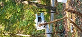 Enlarge photo 115