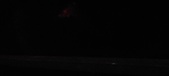 Enlarge photo 146