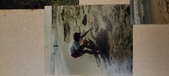 Enlarge photo 177