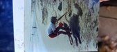 Enlarge photo 175