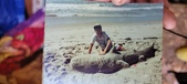 Enlarge photo 181